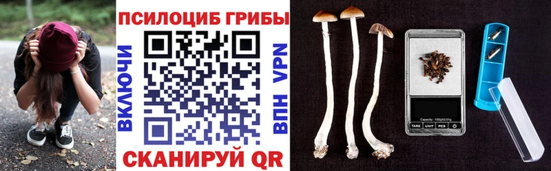 Купить закладки  Георгиевск  Галлюциногенные грибы Magic Shrooms 
