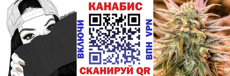 Купить где  Георгиевск  Конопля план 
